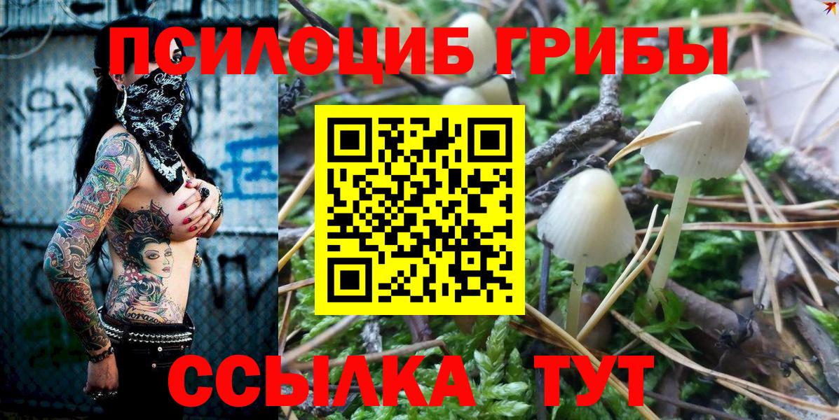 Галлюциногенные грибы Cubensis Черняховск